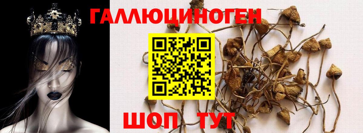 Галлюциногенные грибы Cubensis Керчь