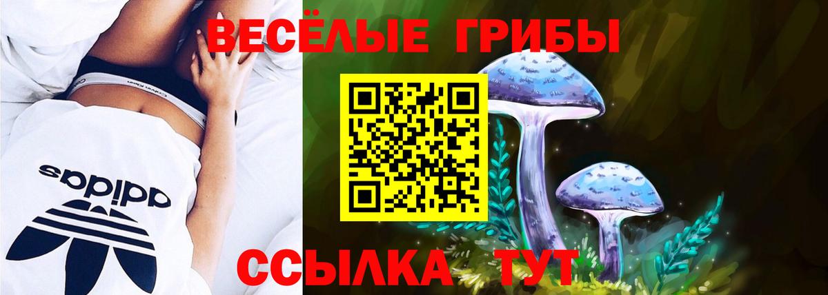 Галлюциногенные грибы прущие грибы  Вход с VPN  Керчь 